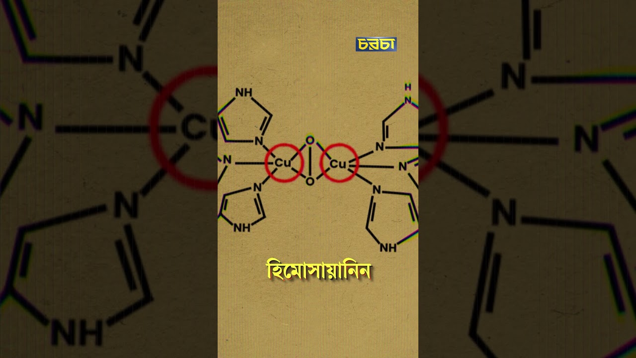 শামুক কেন আস্তে চলে?