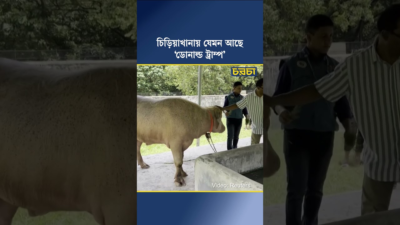 চিড়িয়াখানায় যেমন আছে ‘ডোনাল্ড ট্রাম্প’