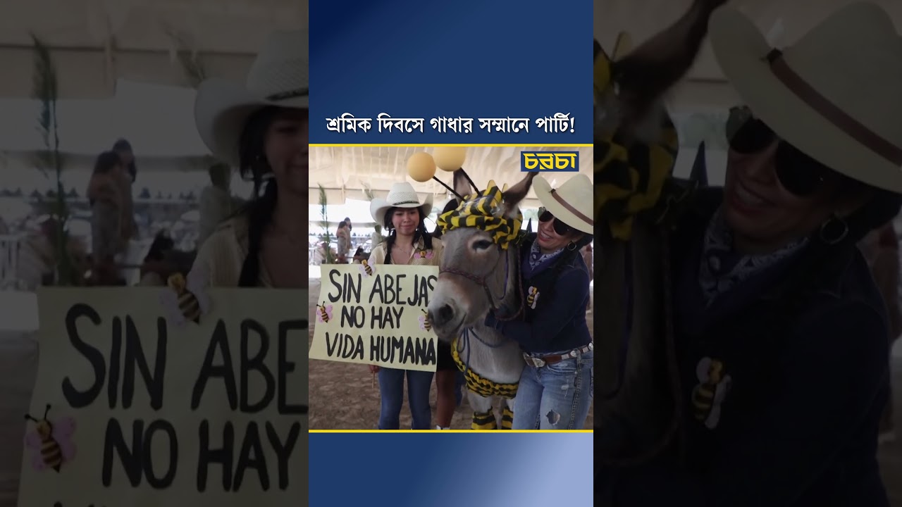 শ্রমিক দিবসে গাধার সম্মানে পার্টি!