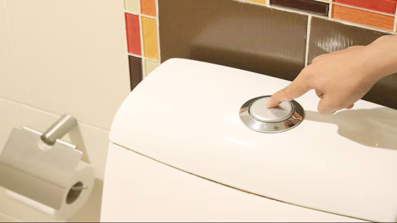 কমোডের ফ্লাশে দুটো বাটন থাকে কেন, কাজ কী