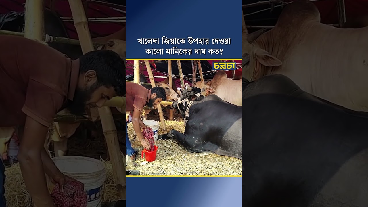 খালেদা জিয়াকে উপহার দেওয়া কালো মানিকের দাম কত?