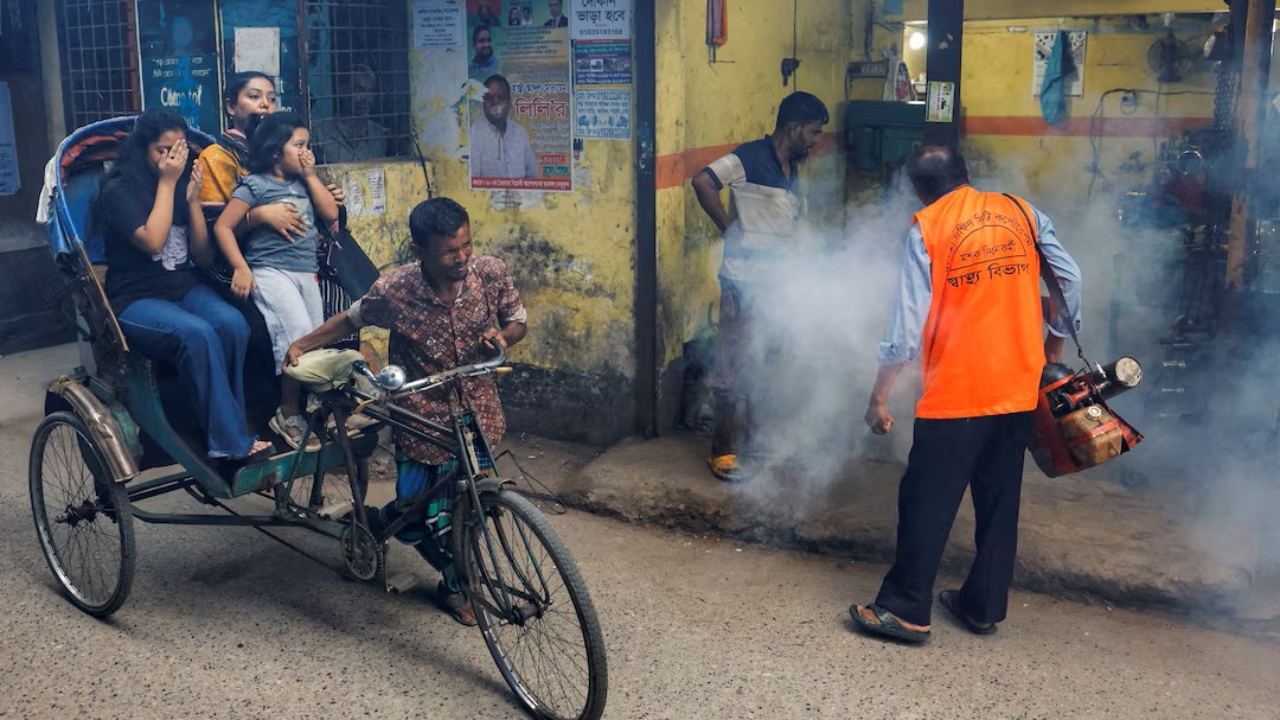 ডেঙ্গু: লক্ষণ, কারণ, প্রতিরোধ এবং চিকিৎসা