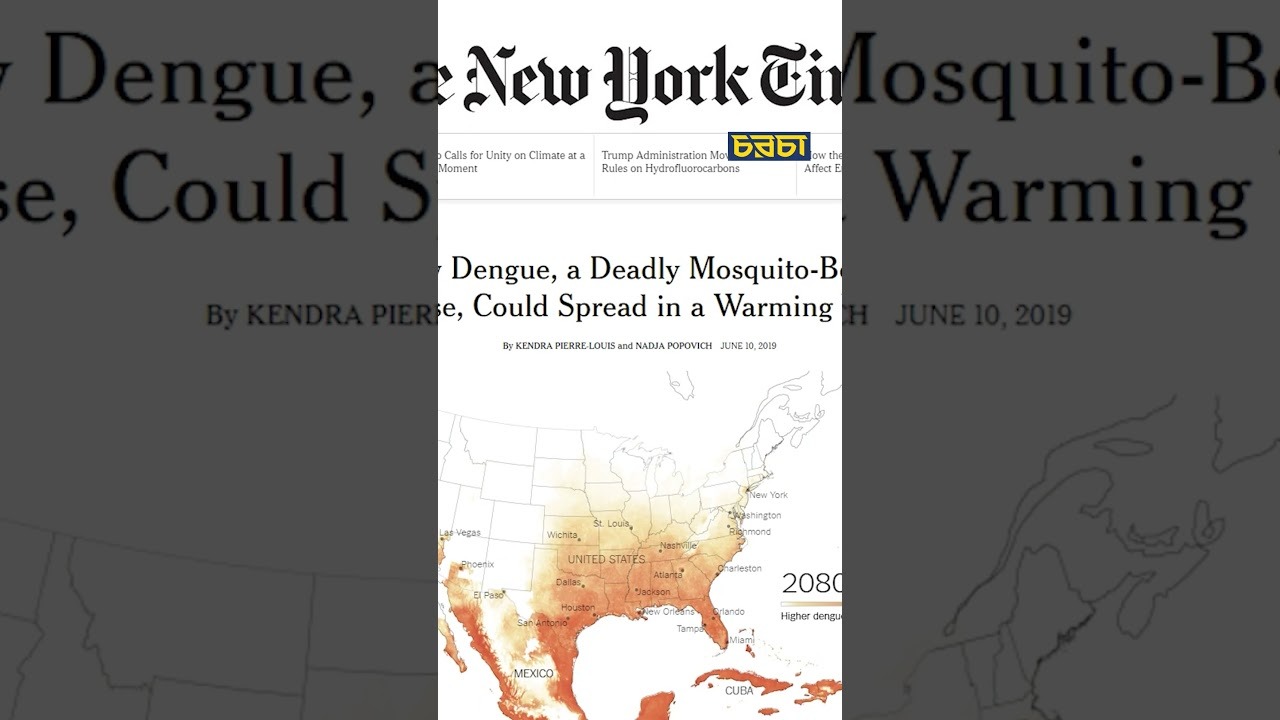 ২০৮০ সালে ২০০ কোটি বেশি মানুষ ডেঙ্গু ঝুঁকিতে পড়তে পারে