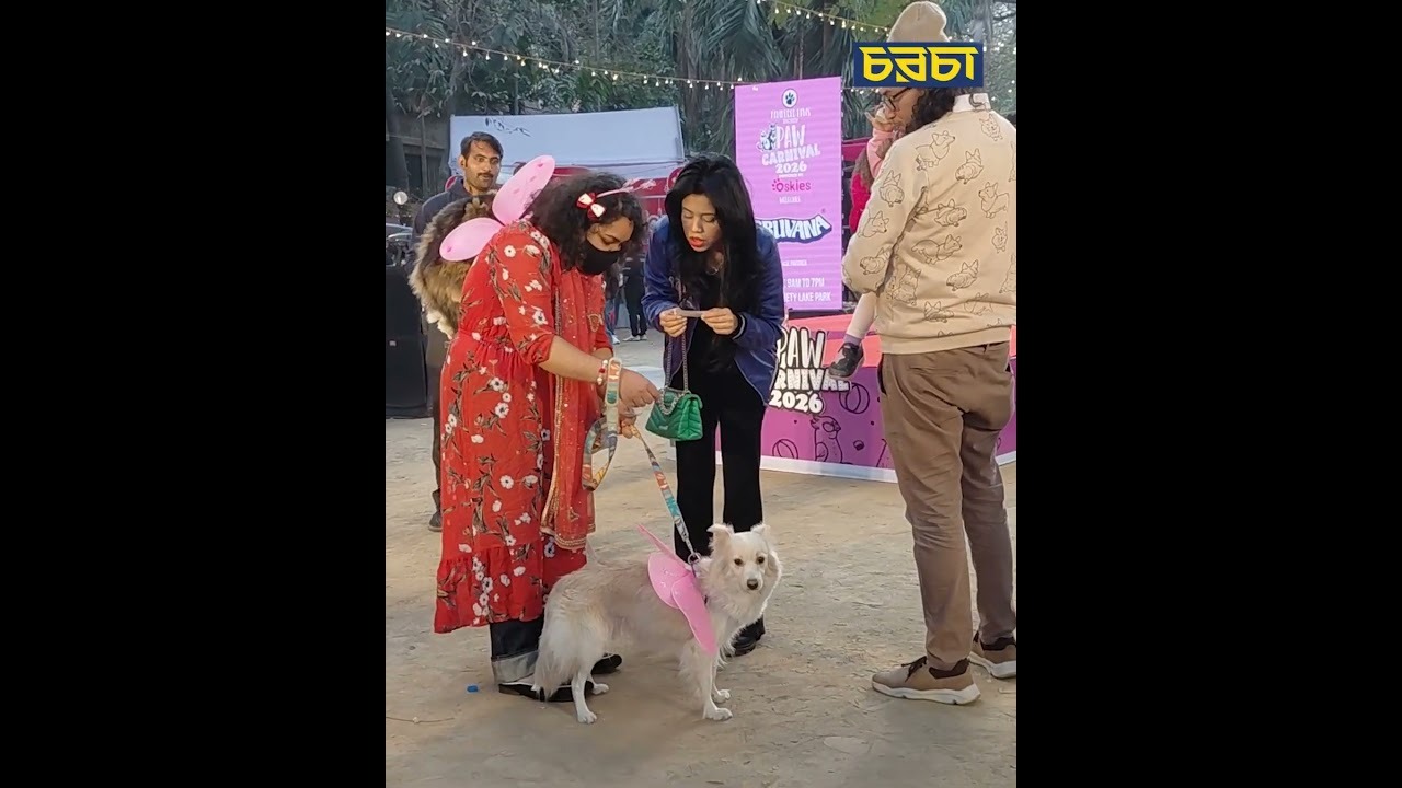 কুকুরের পেছনে মাসে খরচ কমপক্ষে ১৫ হাজার টাকা