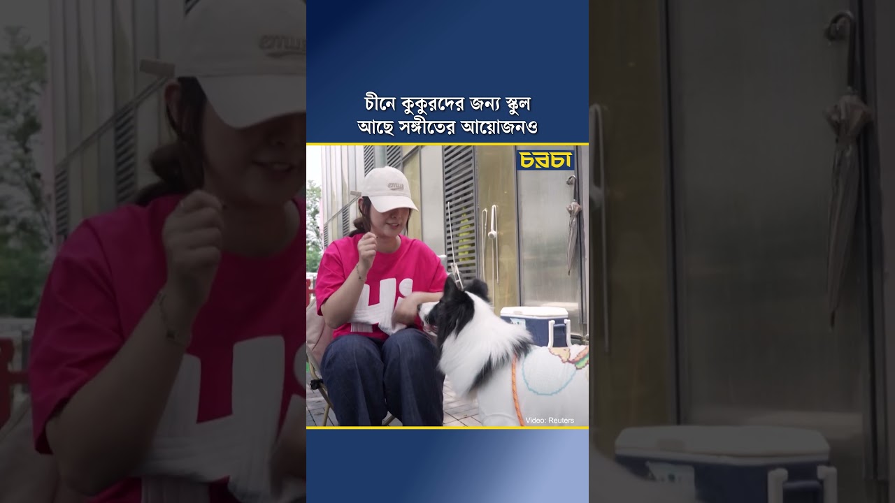 চীনে কুকুরদের জন্য স্কুল, আছে সঙ্গীতের আয়োজনও