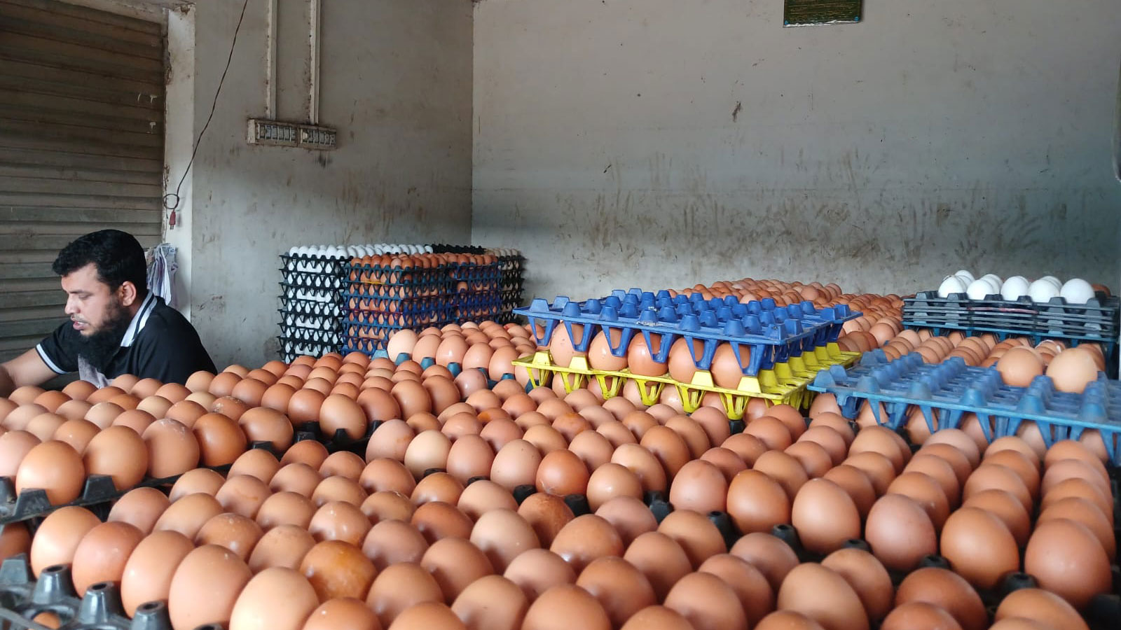 egg-market_01