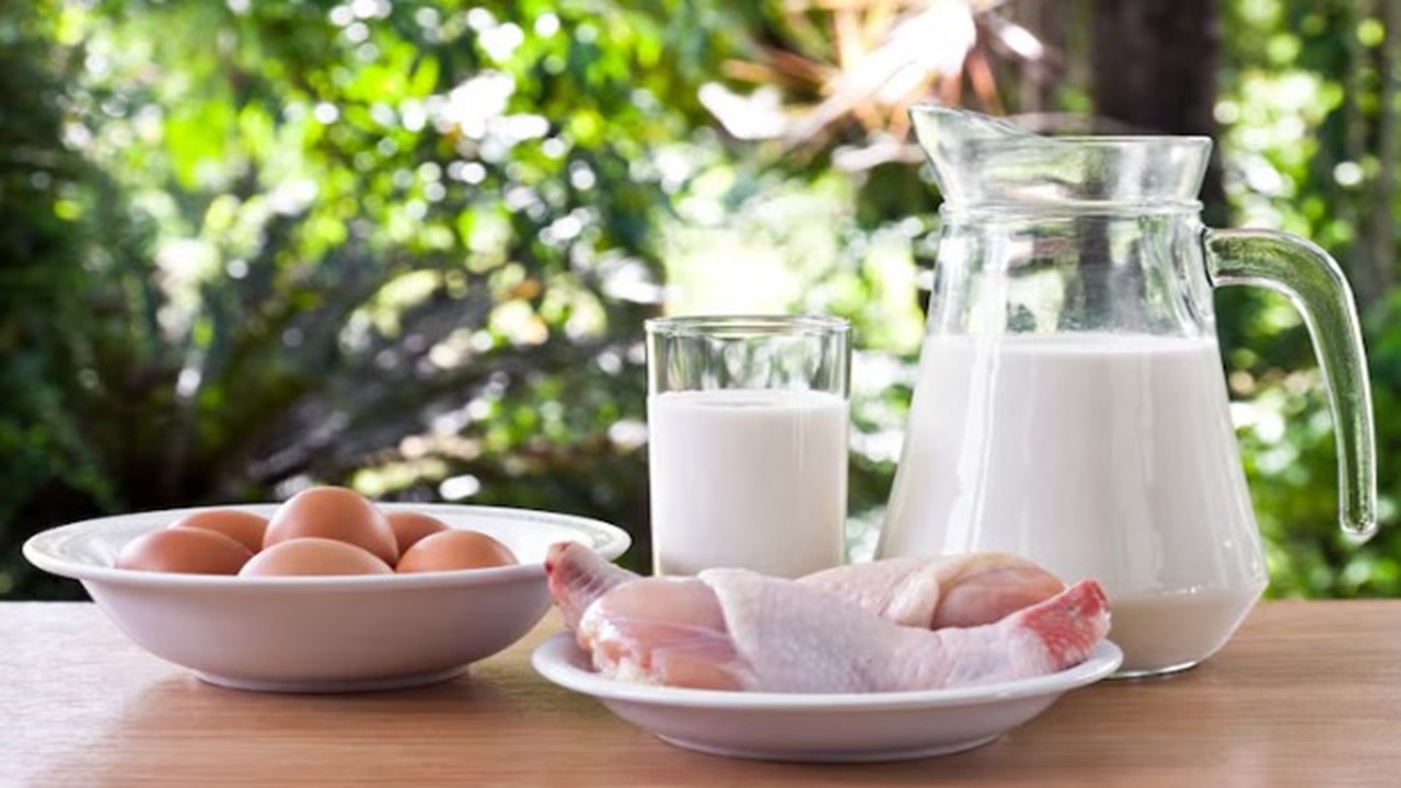 রমজানে সুলভ মূল্যে দুধ, ডিম ও মাংস বিক্রি করবে সরকার