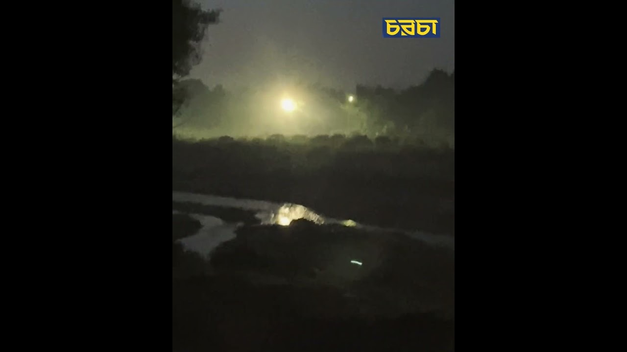 ময়মনসিংহের হালুয়াঘাট সীমান্তে হাতির দল