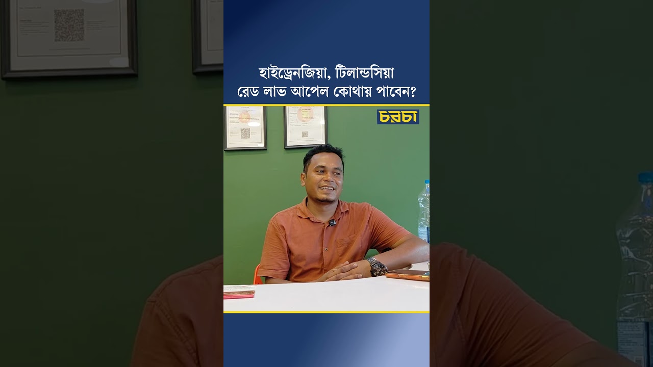হাইড্রেনজিয়া, টিলান্ডসিয়া, রেড লাভ আপেল কোথায় পাবেন?