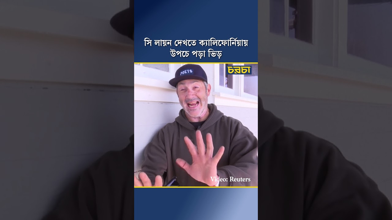 সি লায়ন দেখতে ক্যালিফোর্নিয়ায় উপচে পড়া ভিড়