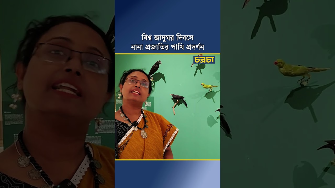 বিশ্ব জাদুঘর দিবসে নানা প্রজাতির পাখি প্রদর্শন