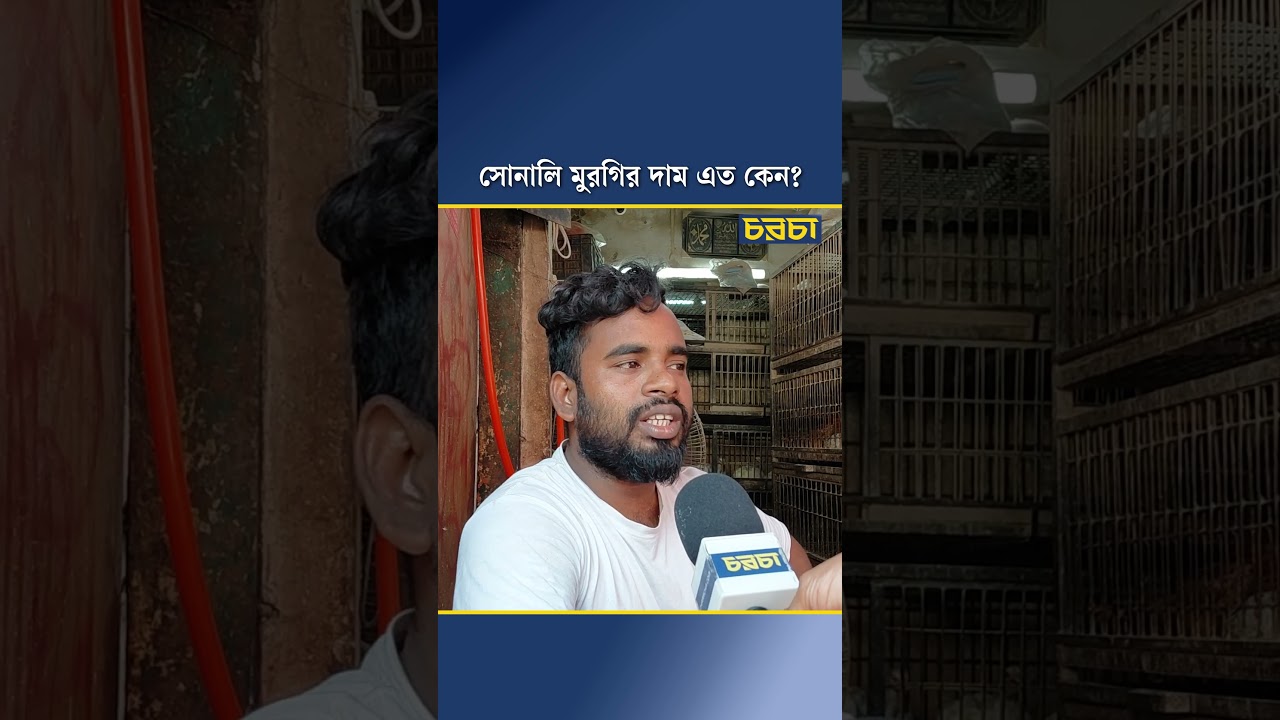 সোনালি মুরগির দাম এত কেন?