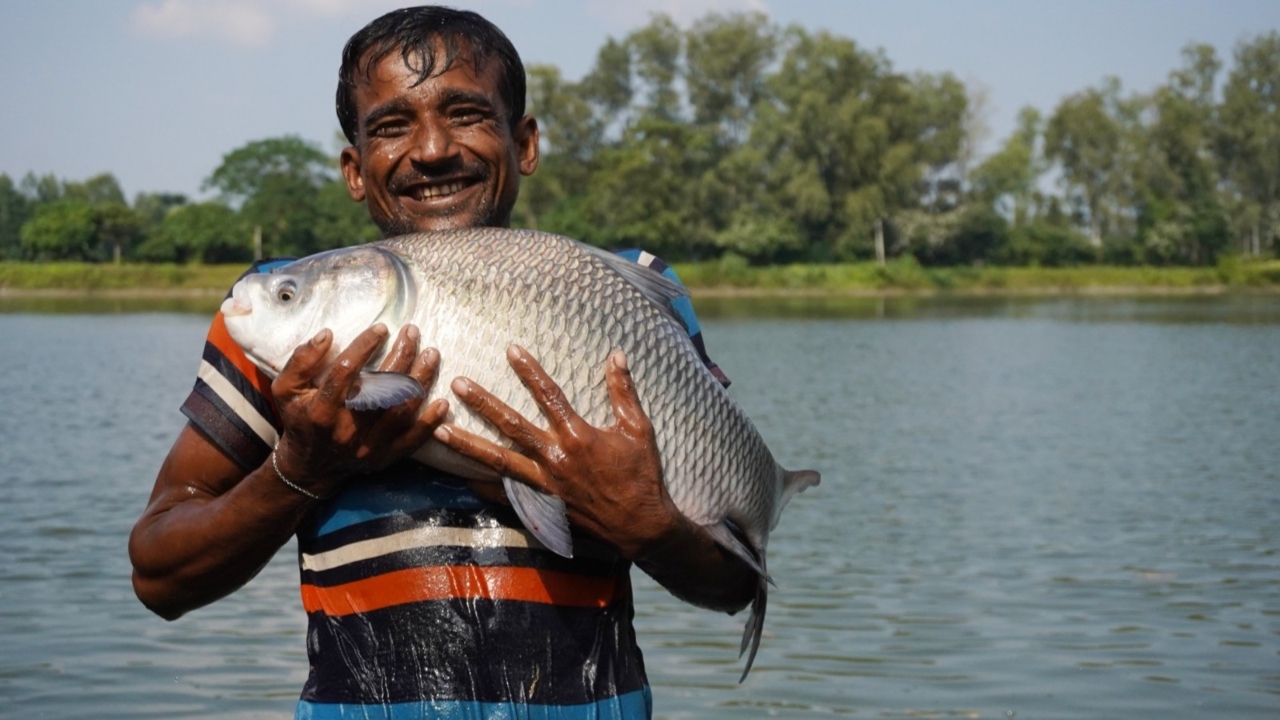 বাংলাদেশের মতো রপ্তানিমুখী অর্থনীতির জন্য শান্তির সূচক গুরুত্বপূর্ণ। ছবি: চরচা
