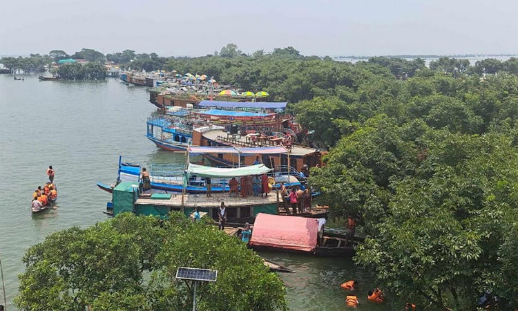 বাংলাদেশের নতুন আইন কি জলাভূমি রক্ষা করতে পারবে?