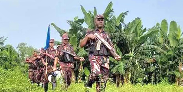 সীমান্তে পুশইনে ব্যর্থ হয়ে ৯ জনকে ফিরিয়ে নিল বিএসএফ