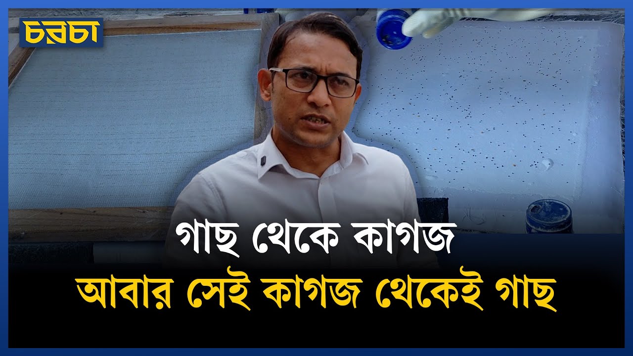 কাগজ থেকে গাছ হয় যেভাবে