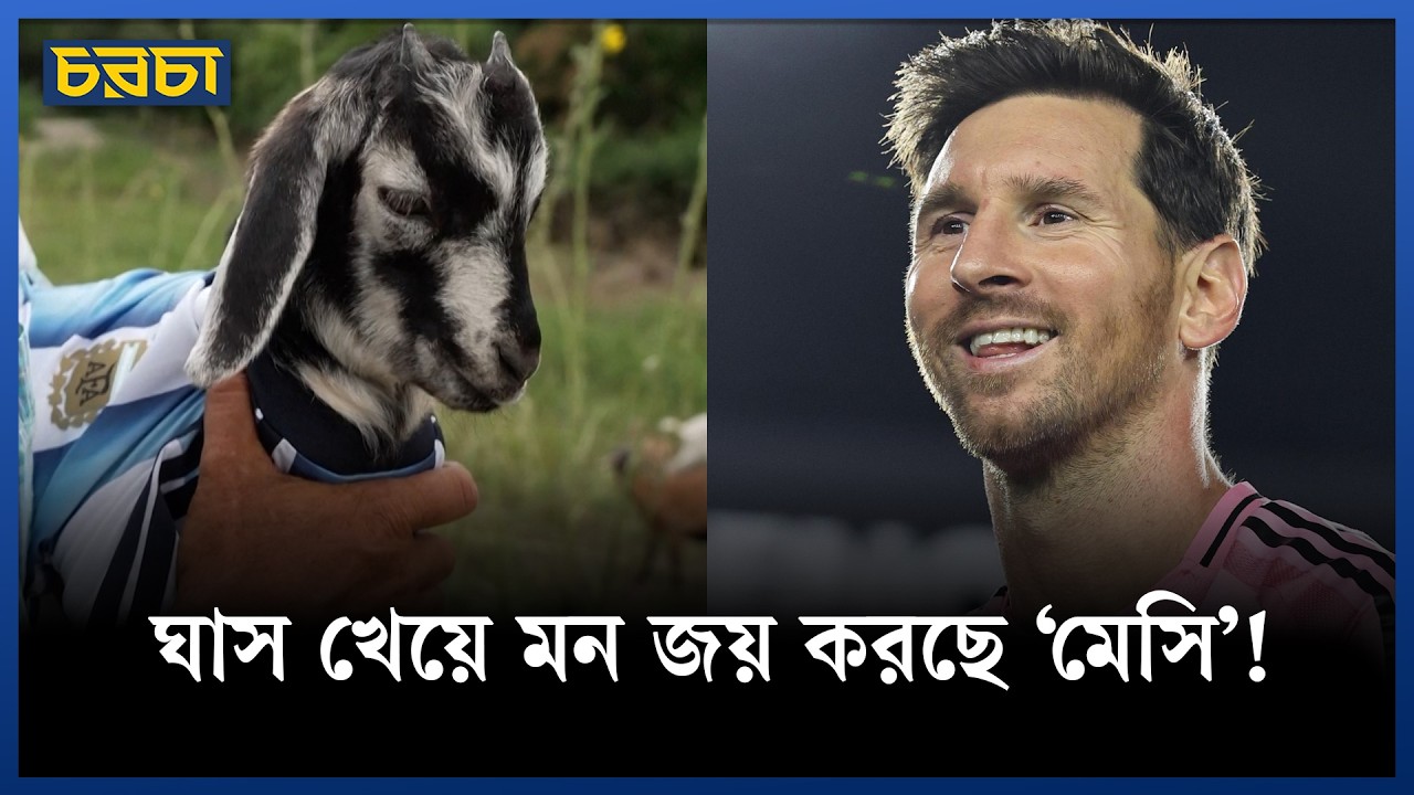 আমেরিকার মাঠে ঘাস খাচ্ছে কোন ‘মেসি’?