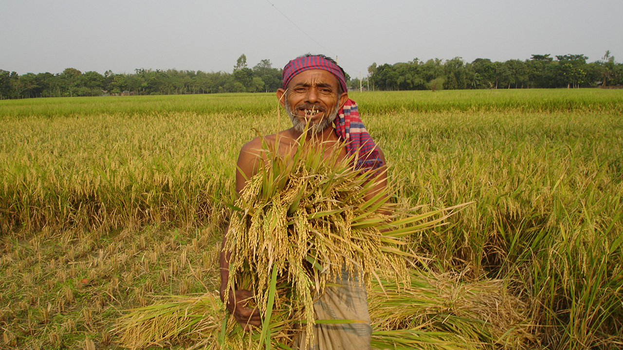 মঙ্গার স্থায়ী সমাধান: একটি ইতিহাস
