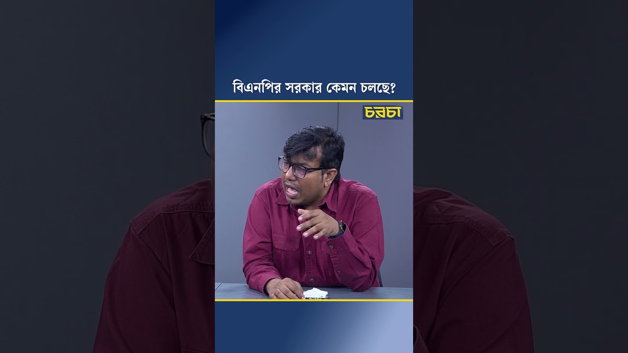 বিএনপির সরকার কেমন চলছে?