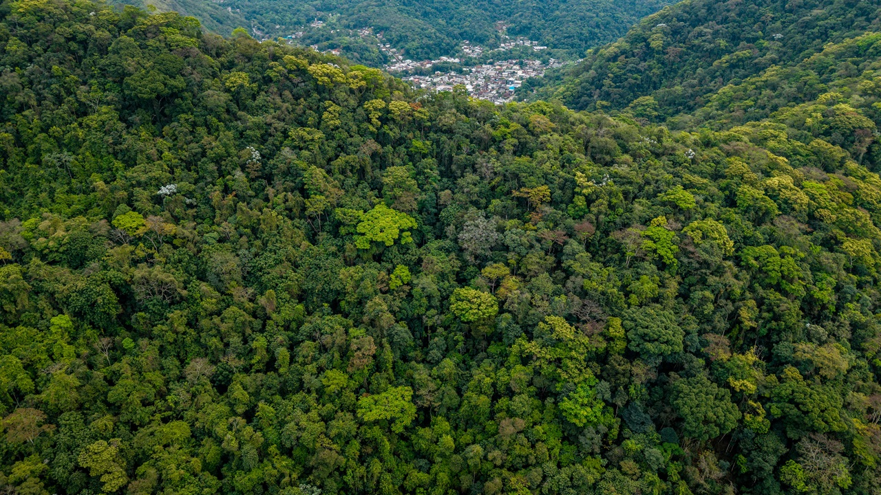 প্রকৃতি। ছবি: পেক্সেলস
