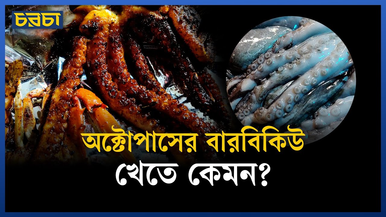 অক্টোপাস খেতে কোথায় যাবেন?