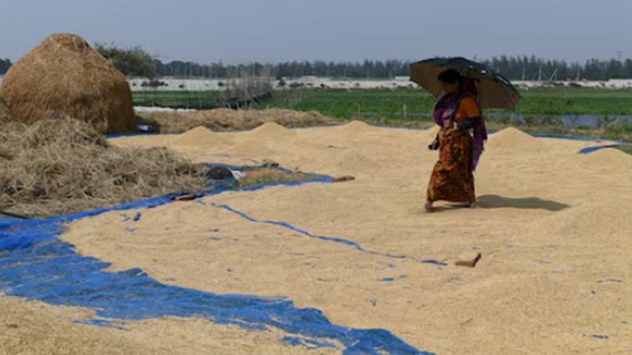 পর্যাপ্ত মজুত থাকলেও আরও ৫ লাখ টন ধান কিনবে সরকার