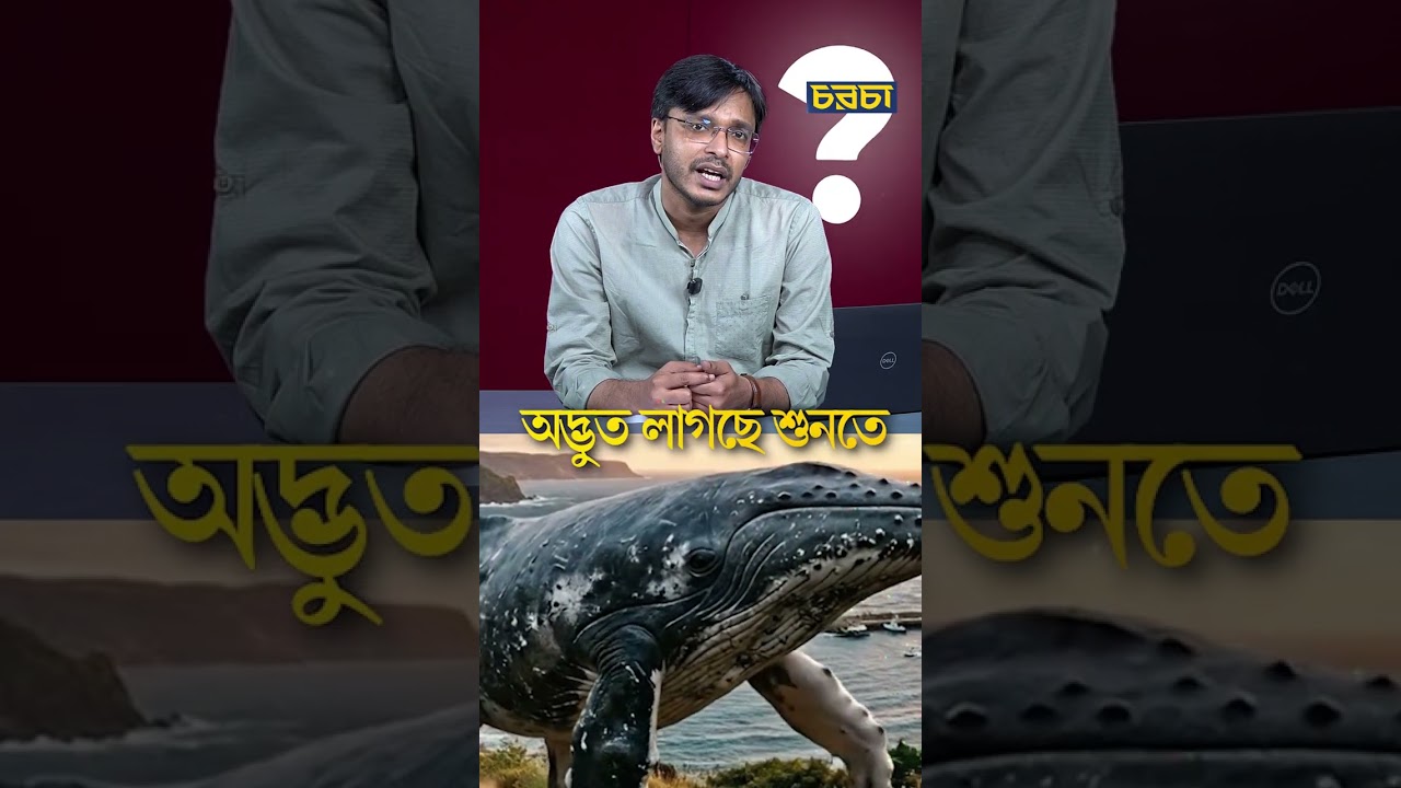 পাকিস্তানে নাকি এক সময় হেঁটে বেড়াত চার পা’ওয়ালা তিমি