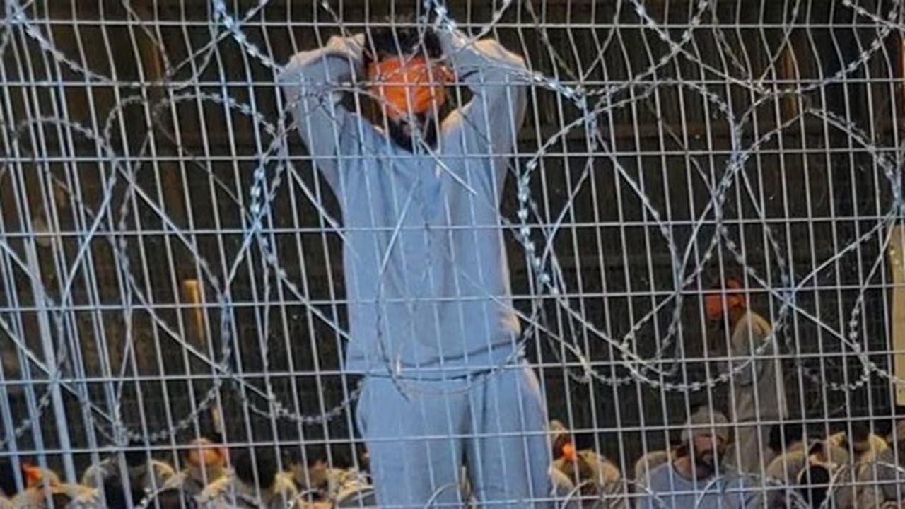 ১৩৫ ফিলিস্তিনির বিকৃত মরদেহ ফেরত দিয়েছে ইসরায়েল