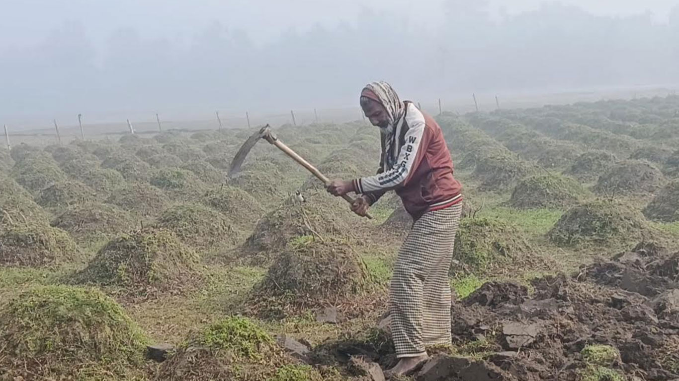 পঞ্চগড়ে তাপমাত্রা নেমেছে ৬ ডিগ্রিতে