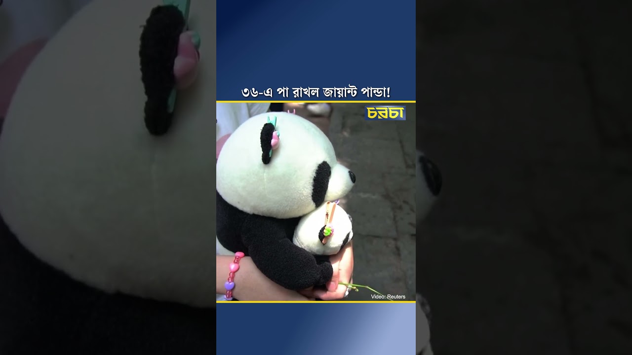 ৩৬-এ পা রাখল জায়ান্ট পান্ডা!