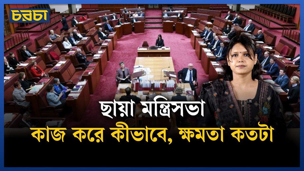 ছায়া মন্ত্রিসভা কী?