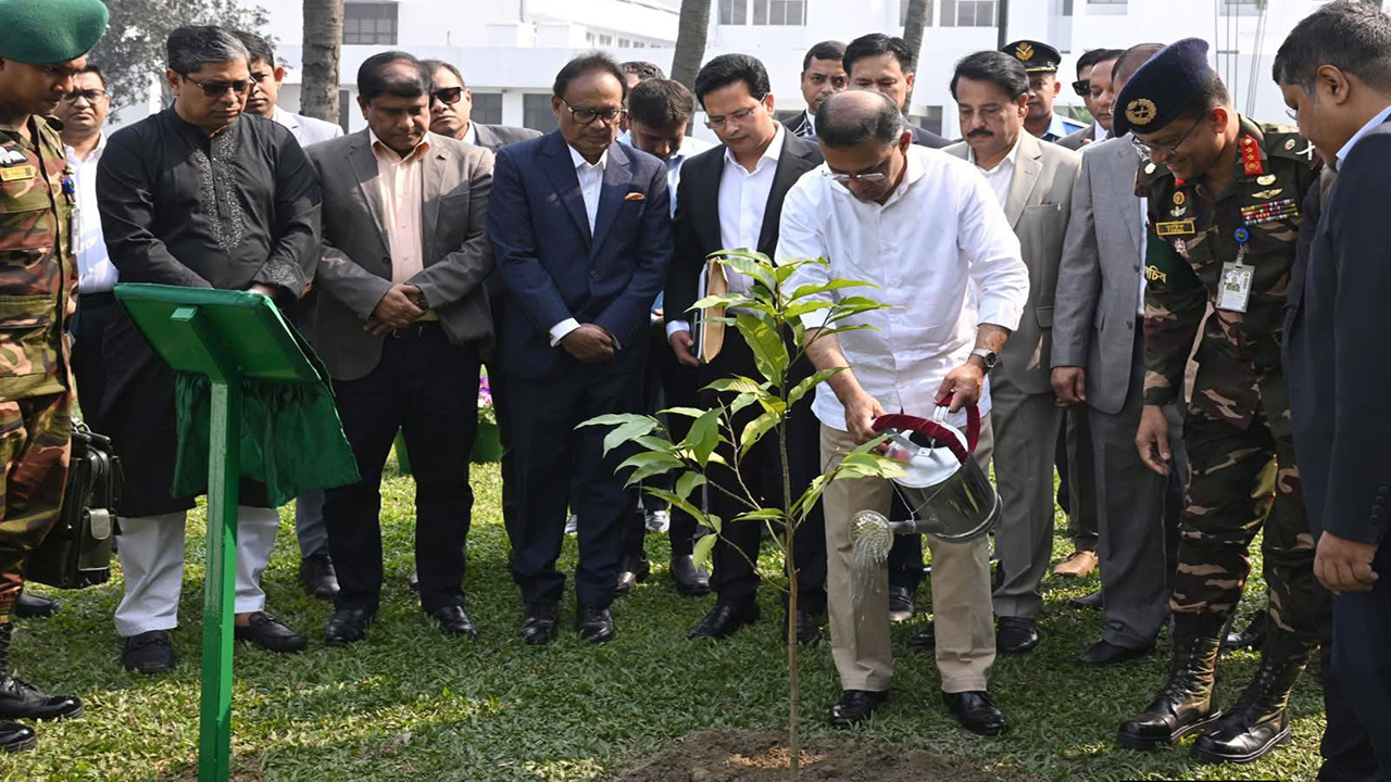 প্রধানমন্ত্রীর কার্যালয় প্রাঙ্গনে স্বর্ণচাঁপা ফুলের চারা রোপণ করেন। ছবি: পিএমও