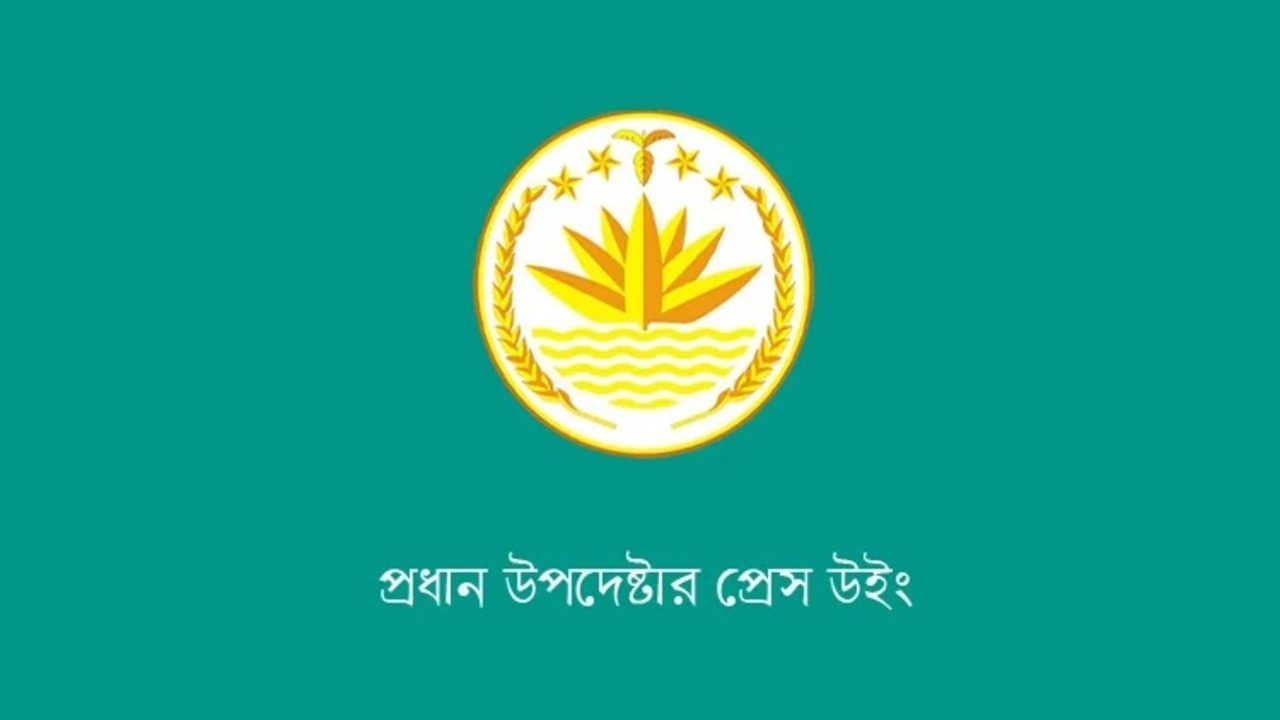 নির্বাচন দেখতে বিদেশ থেকে আসছেন ৩৩০ পর্যবেক্ষক