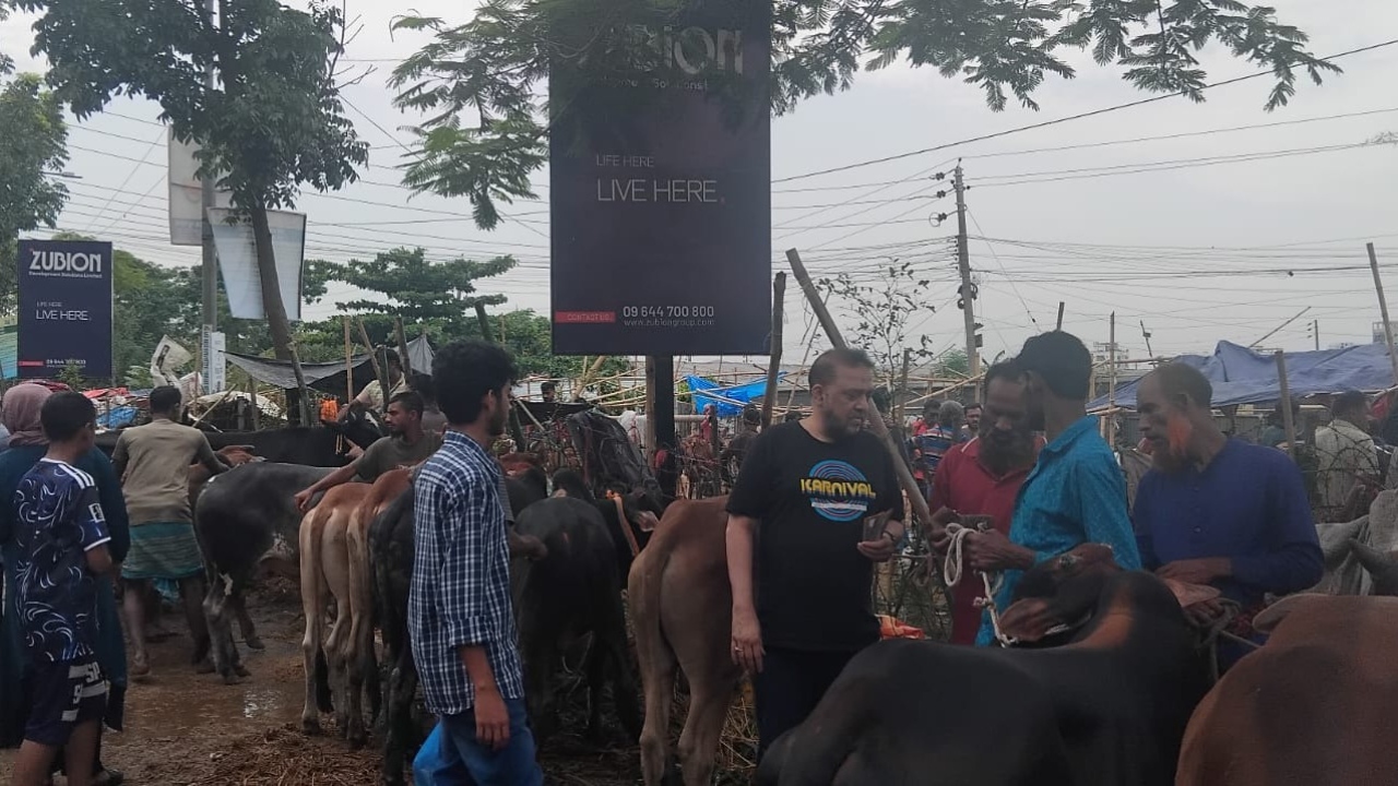 হাটের শেষ দিনেও পর্যাপ্ত পশু, দরদামে মিলছে না গতি