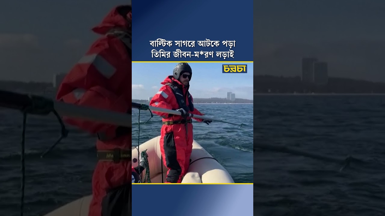 বাল্টিক সাগরে আটকে পড়া তিমির জীবন-মরণ লড়াই