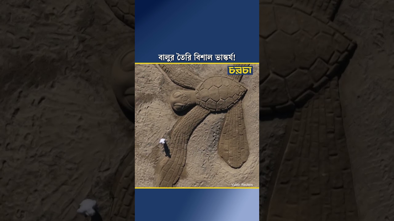 বালুর তৈরি বিশাল ভাস্কর্য!