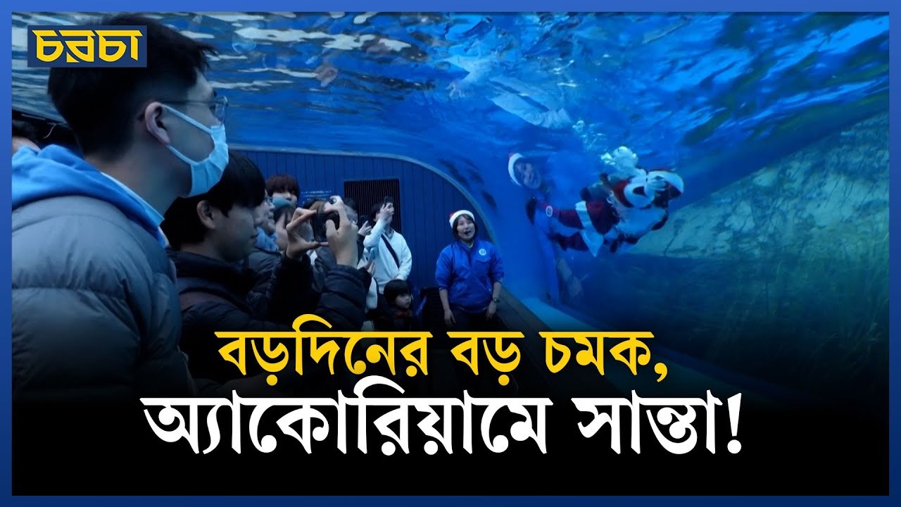 জাপানে সান্তা ক্লজ সেজে পেঙ্গুইনের সঙ্গে সাঁতার