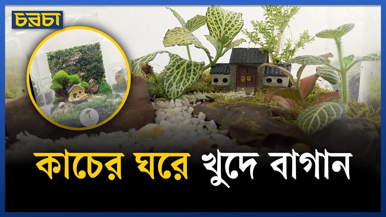 ‘টেরারিয়াম’ আসলে কী? কোথায় পাবেন?