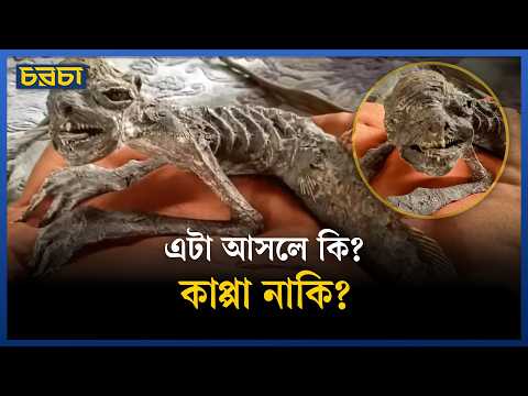 এসব কঙ্কাল কি কোনো রহস্যময় প্রাণির?