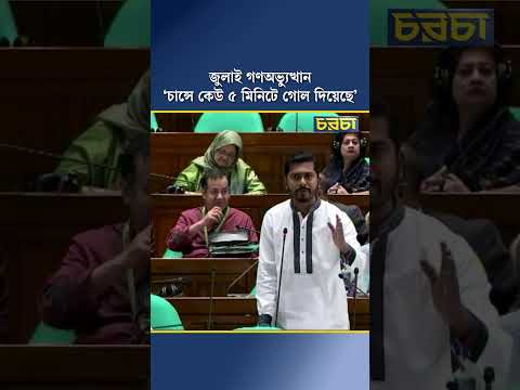 জুলাই গণঅভ্যুত্থান : ‘চান্সে কেউ ৫ মিনিটে গোল দিয়েছে’