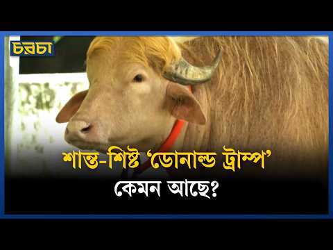 চিড়িয়াখানায় বিলাসবহুল জীবন ‘ডোনাল্ড ট্রাম্পের’!