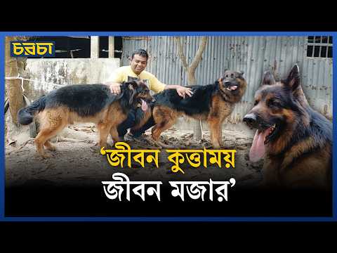 ছাগলের খামার যেভাবে হলো কুকুরের খামার