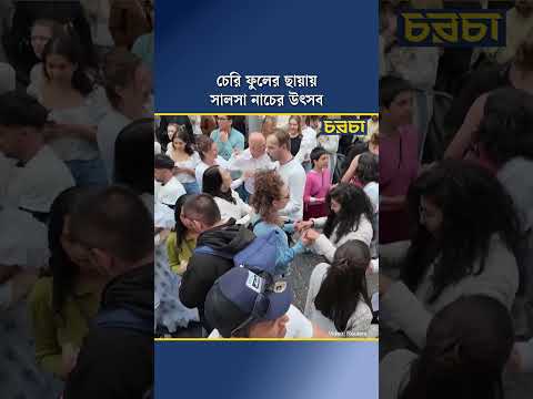 চেরি ফুলের ছায়ায় সালসা নাচের উৎসব