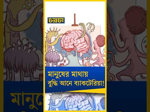মানুষের মাথায় এত বুদ্ধি কীভাবে এল? জানলে চমকে যাবেন!