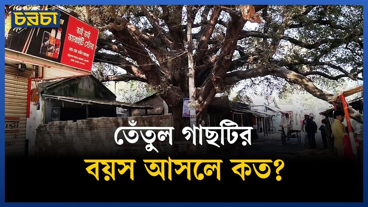 যে গাছটি ঘিরে আছে নানা কিংবদন্তি